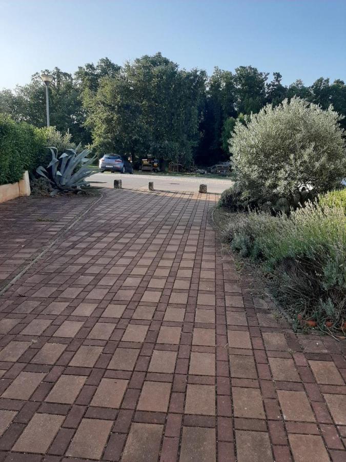 Medo Apartment Novigrad  Exterior photo